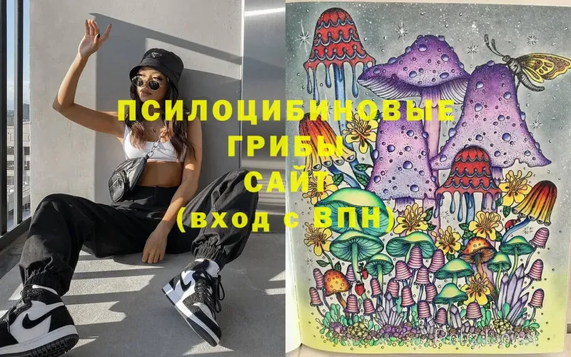 Псилоцибиновые грибы Psilocybine cubensis  Николаевск 